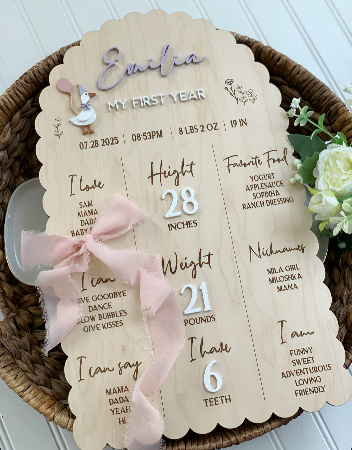 Silly Goose First Year Milestone Sign, 1st birthday board