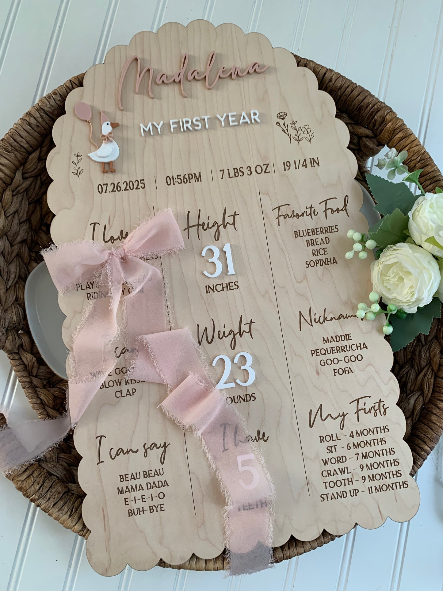 Silly Goose First Year Milestone Sign, 1st birthday board