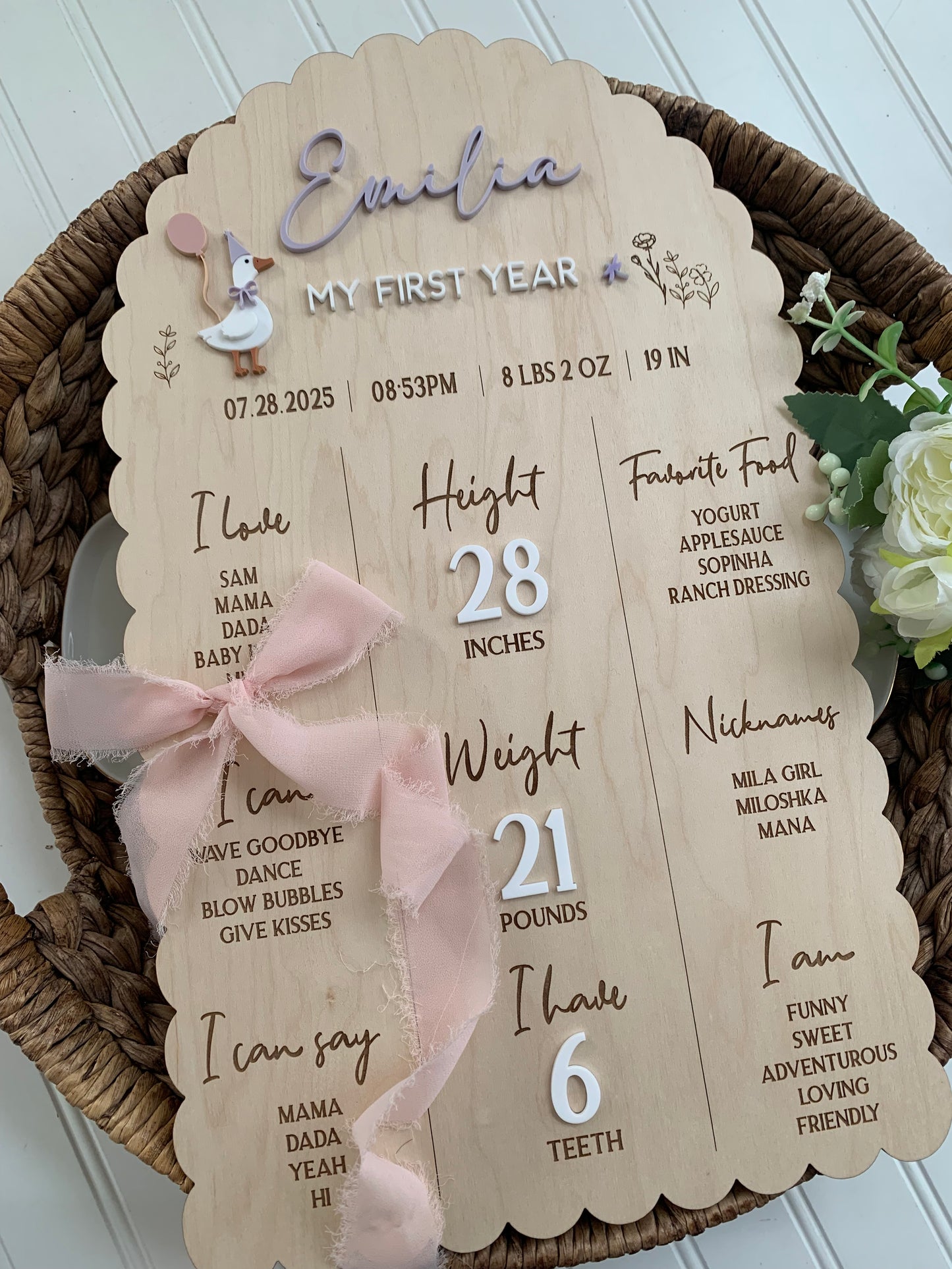 Silly Goose First Year Milestone Sign, 1st birthday board