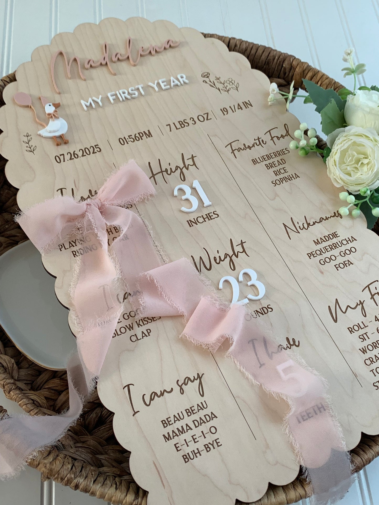 Silly Goose First Year Milestone Sign, 1st birthday board