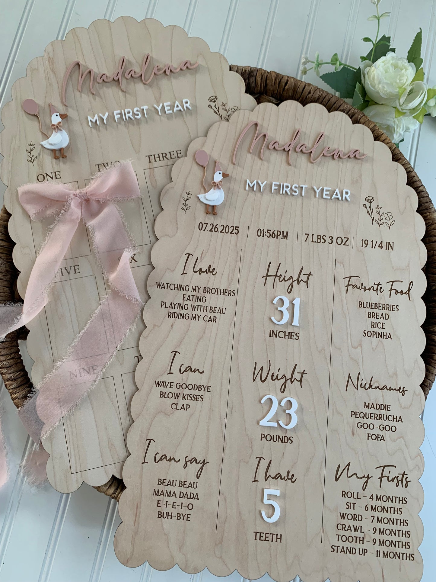 Silly Goose First Year Milestone Sign, 1st birthday board