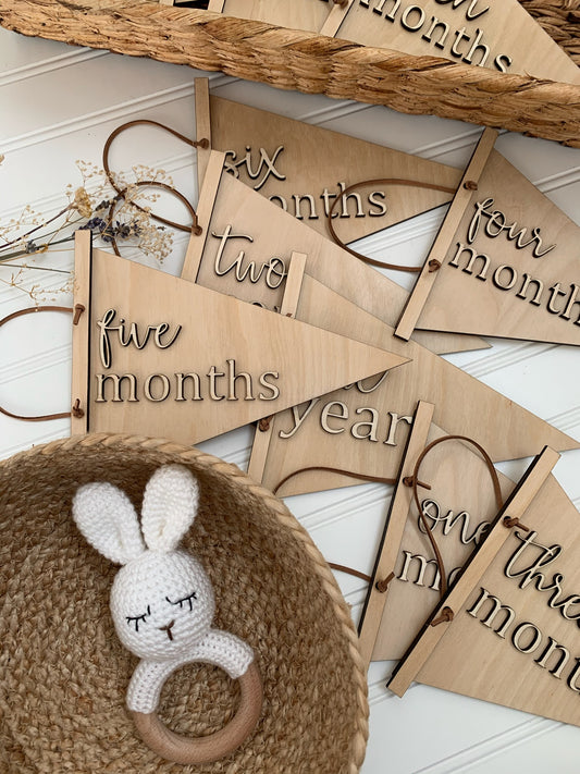 Baby Monthly Milestones